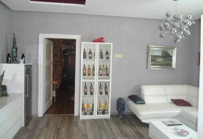 Luxusni Apartmany Stodolni