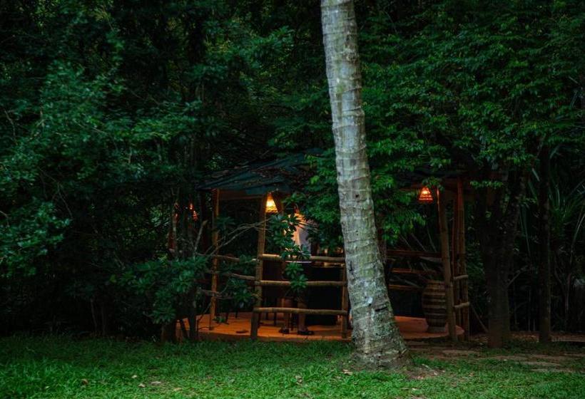 Orchid Trails Resort