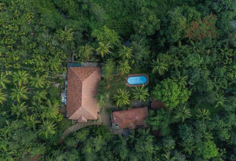 Orchid Trails Resort