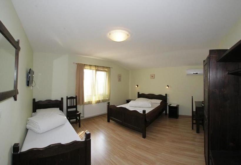 פנסיון Casa Oana