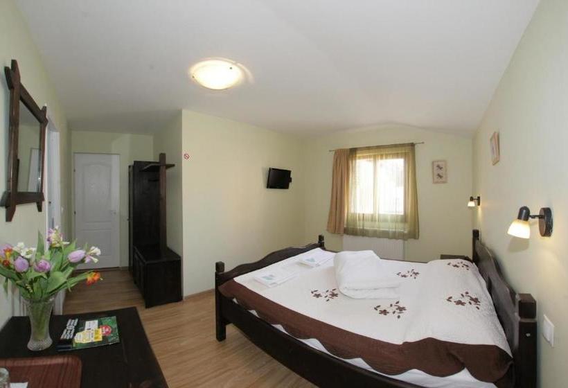 פנסיון Casa Oana