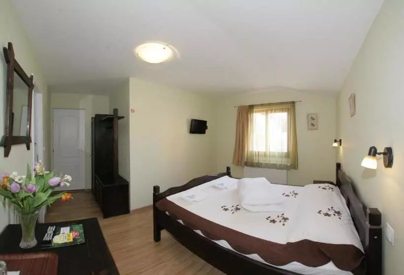 ペンション Casa Oana