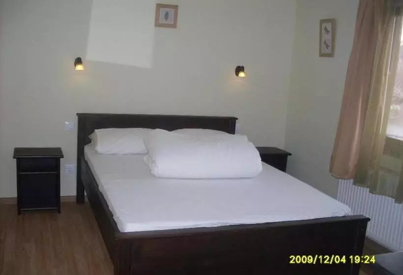 ペンション Casa Oana