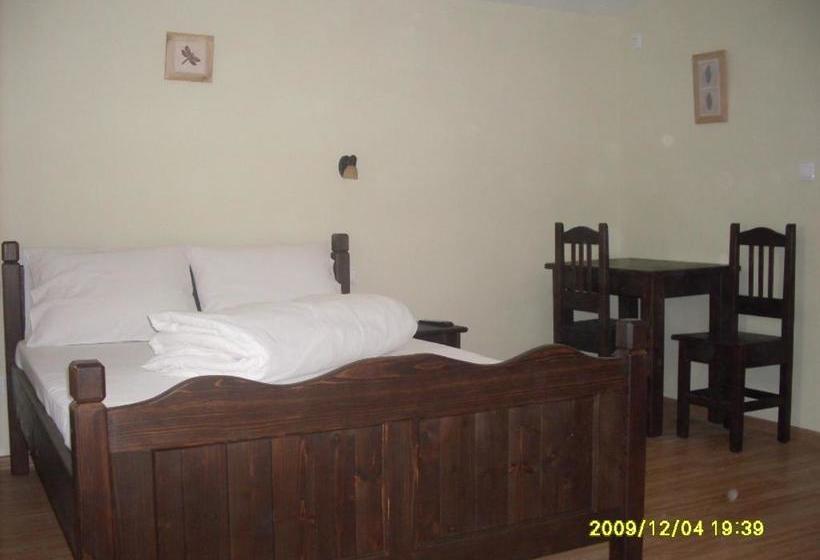 פנסיון Casa Oana