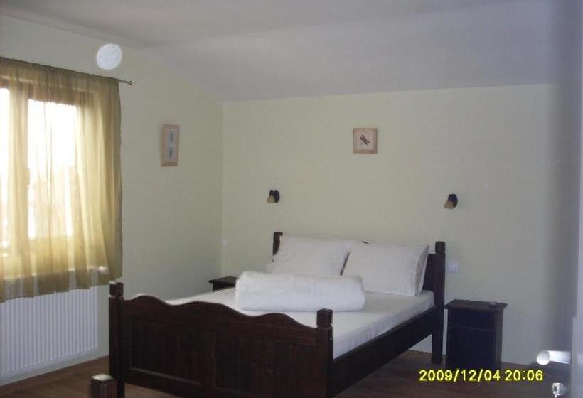 פנסיון Casa Oana