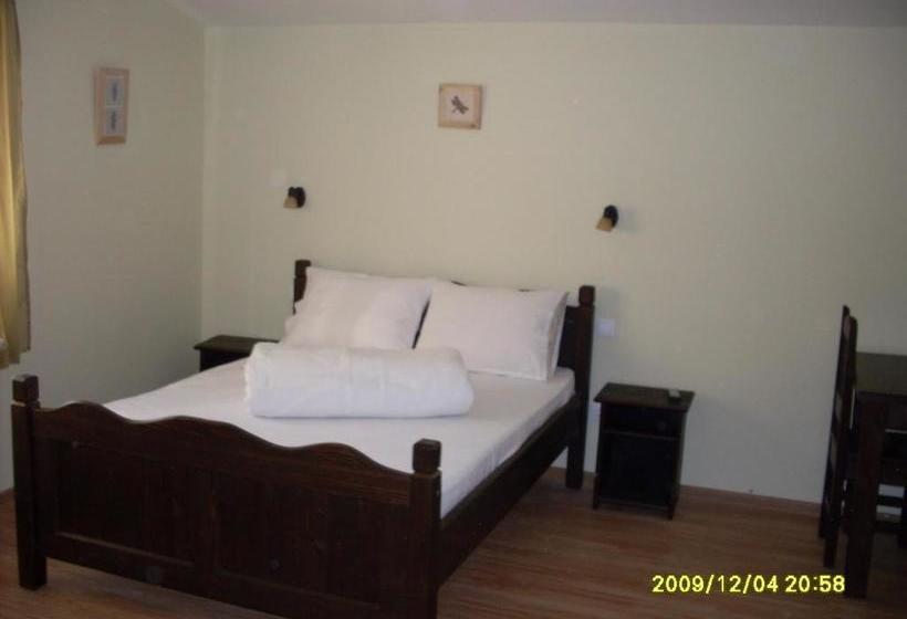 פנסיון Casa Oana