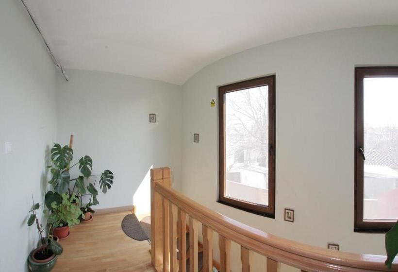 פנסיון Casa Oana