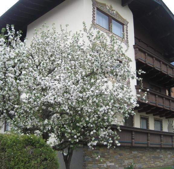 Пансион Gästehaus Braunegger