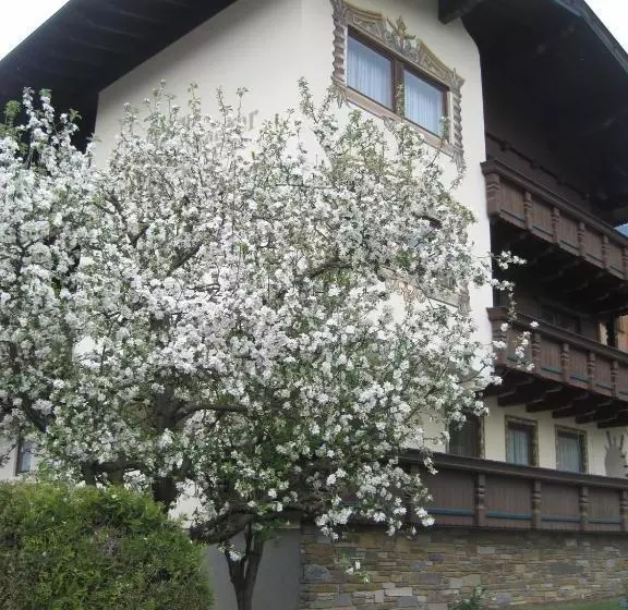 ペンション Gästehaus Braunegger