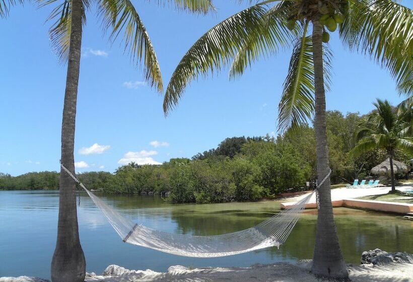 Hostel Rock Reef Resort