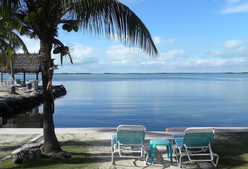 Hostel Rock Reef Resort