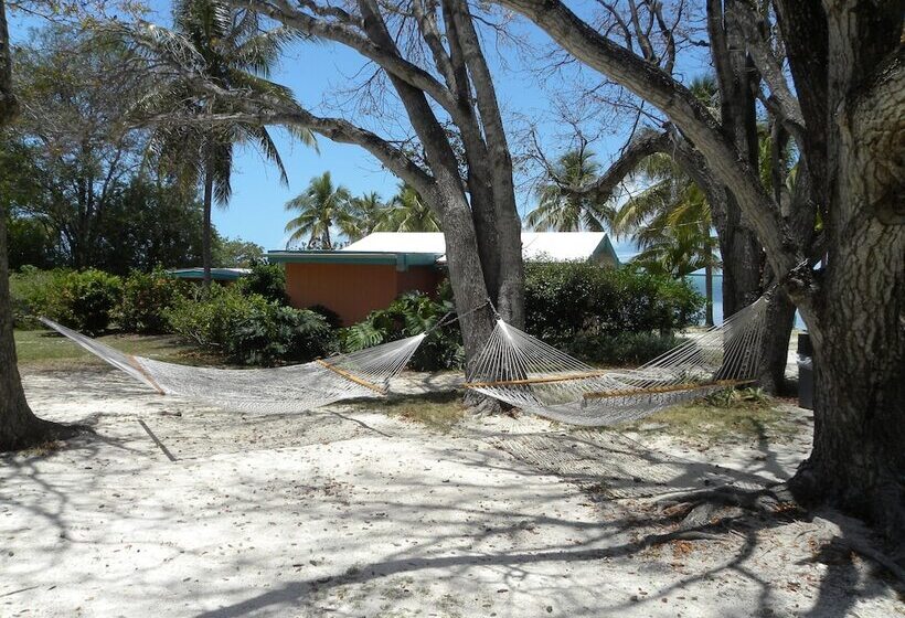 Hostel Rock Reef Resort