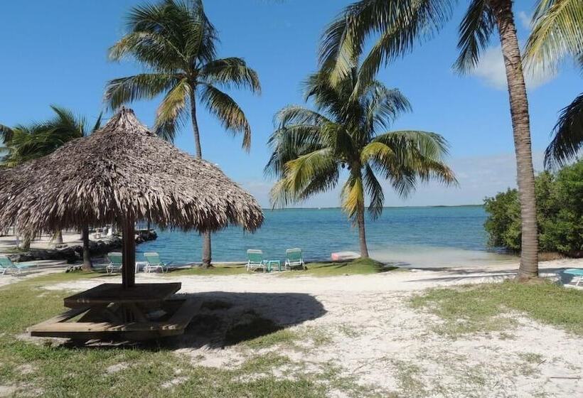 Hostel Rock Reef Resort