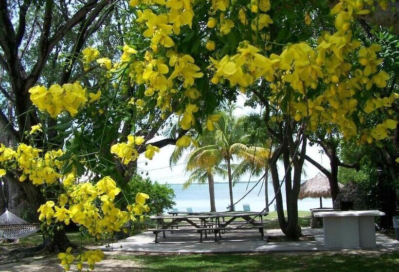 Hostel Rock Reef Resort