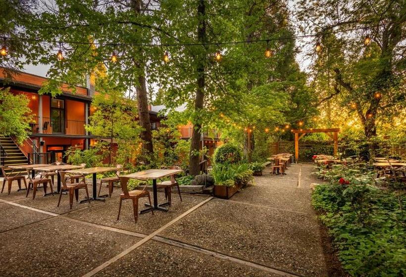 Общежитие The Groveland