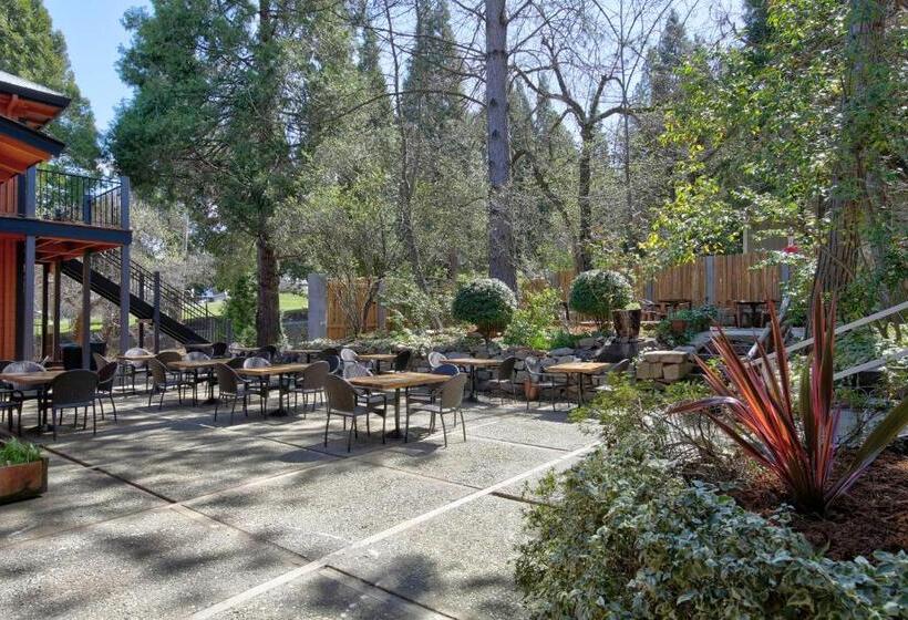 Общежитие The Groveland