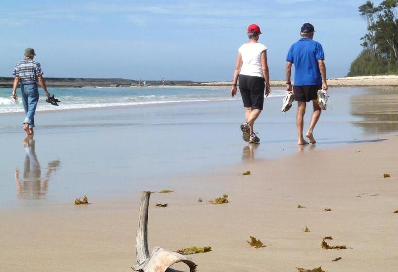 Mollymook Surfbeach Motel & Apartments