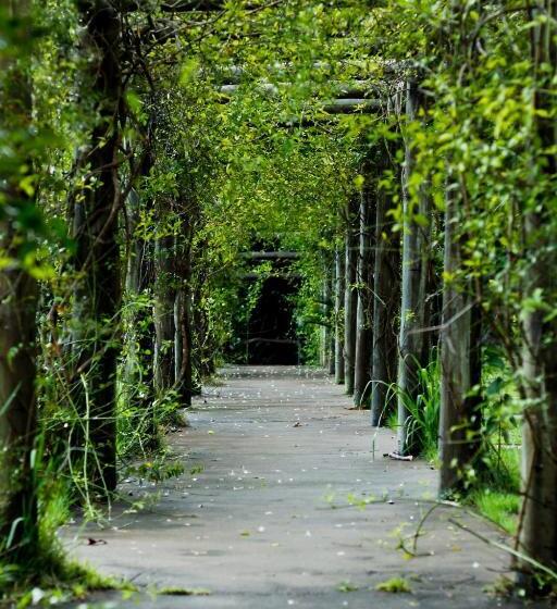 Pensjonat Pousada Araucaria