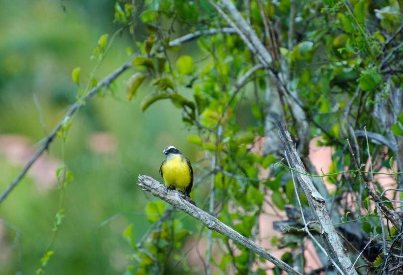 Pensjonat Pousada Araucaria