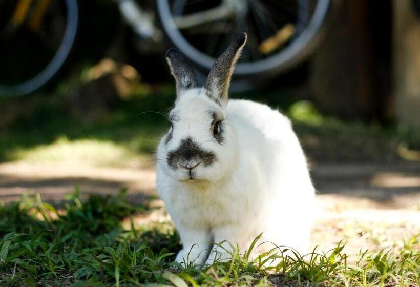 Pensjonat Pousada Araucaria