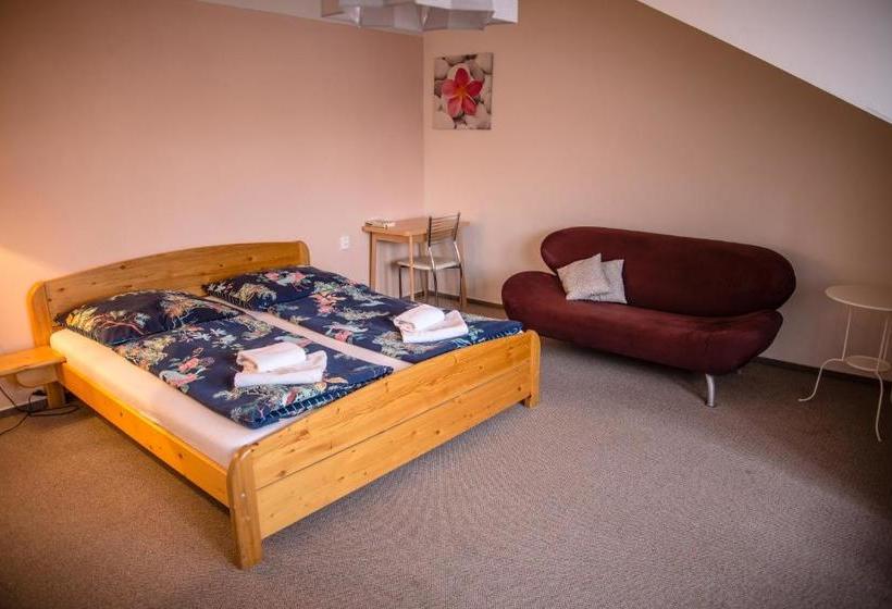 Pensjonat U Dómu Sv. Václava