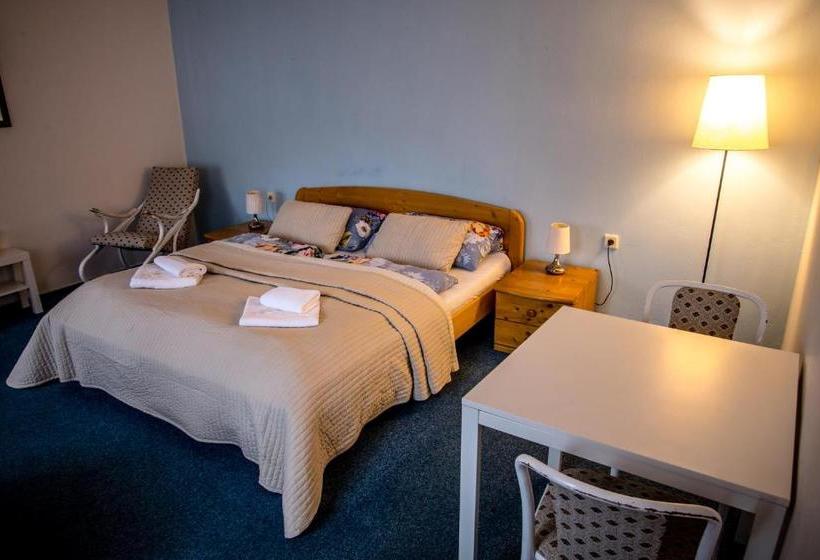 Pensjonat U Dómu Sv. Václava