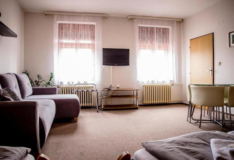 Pensjonat U Dómu Sv. Václava