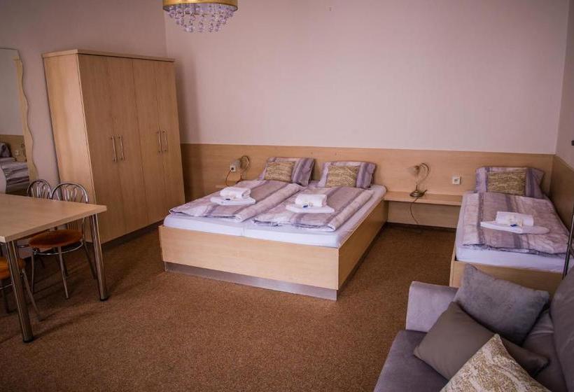 Pensjonat U Dómu Sv. Václava