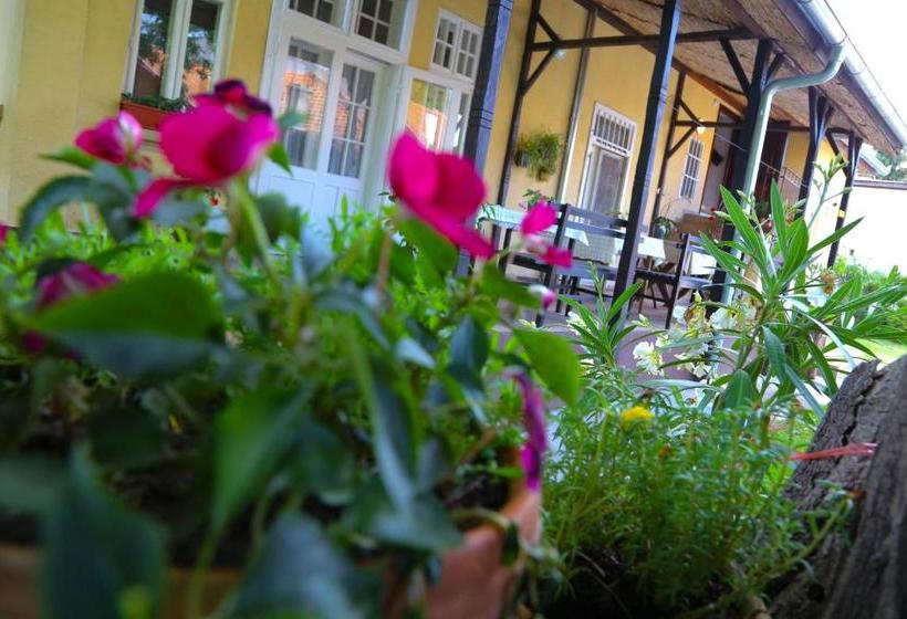 پانسیون Villa Ricz