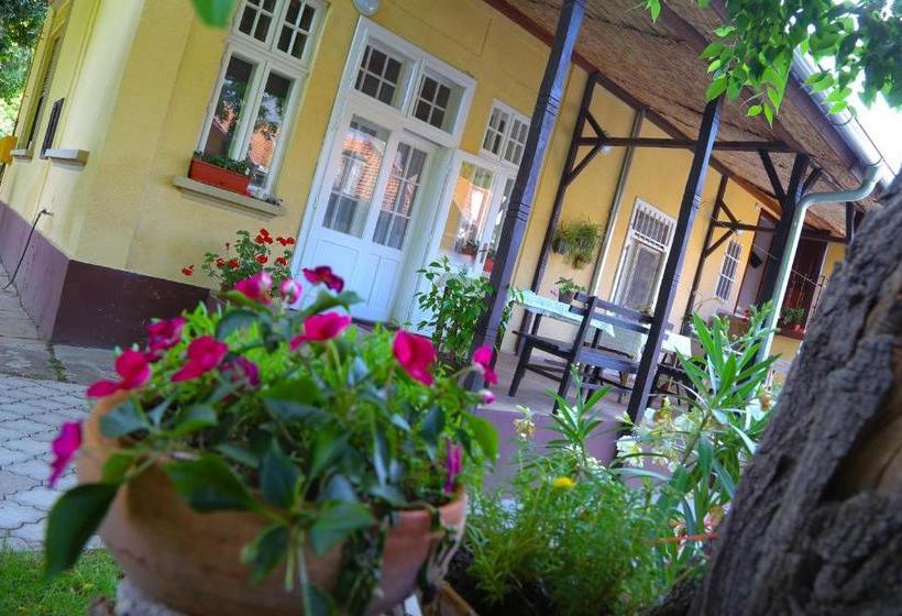 پانسیون Villa Ricz