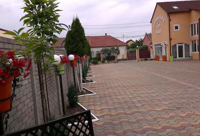 Pensiunea Sergiu & Geanina