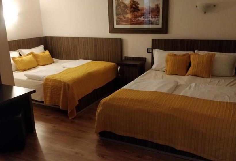 Pensiunea Sergiu & Geanina