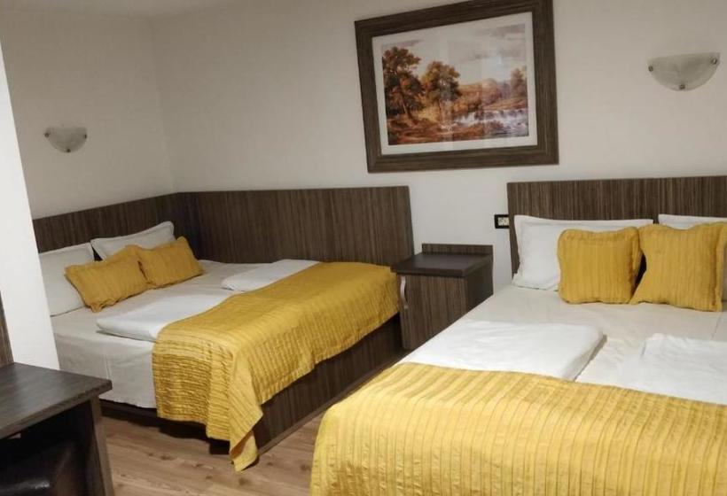 Pensiunea Sergiu & Geanina