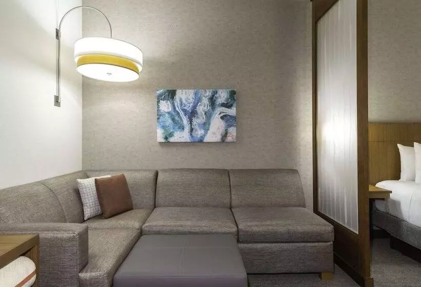 هتل Hyatt Place Sandestin At Grand Blvd