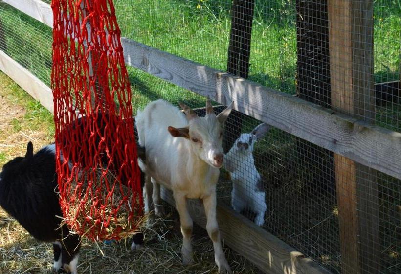 Pensionat Die Sonnenblume
