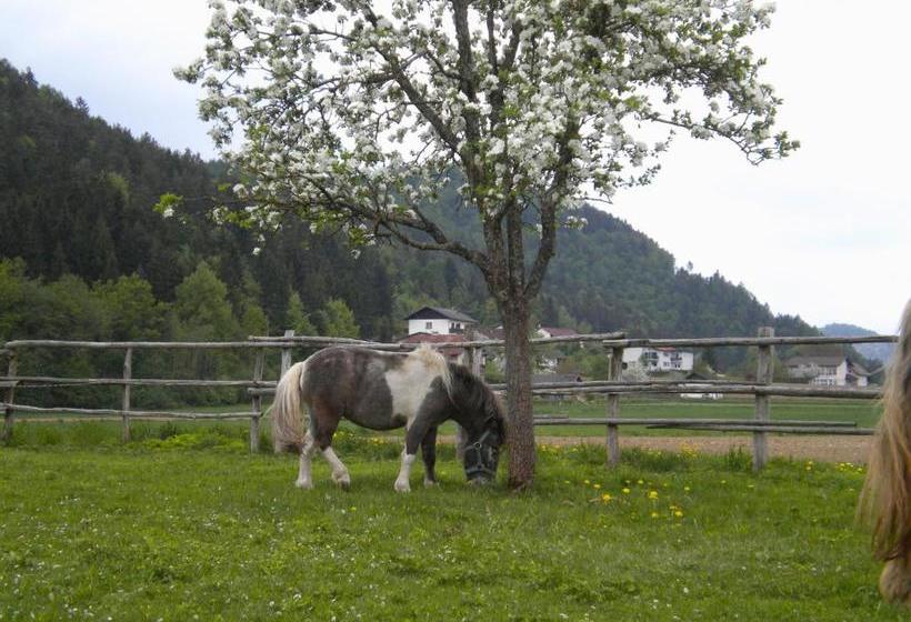 Pensionat Die Sonnenblume