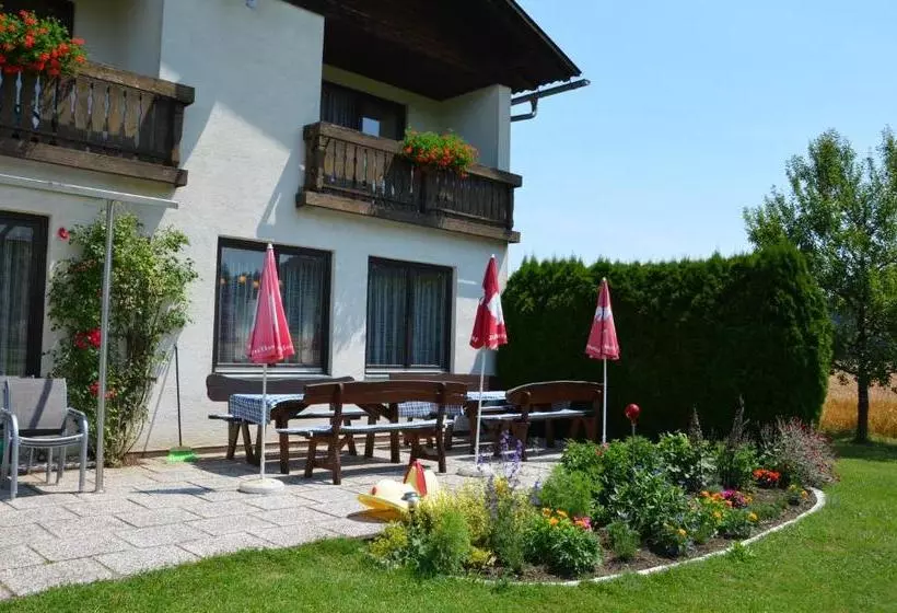 Majatalo Die Sonnenblume