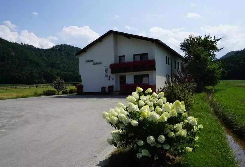 Majatalo Die Sonnenblume