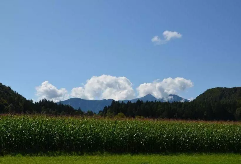 Majatalo Die Sonnenblume