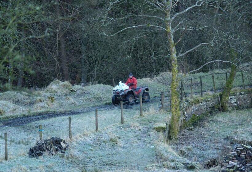 Abbotshaw House   Farm B&b