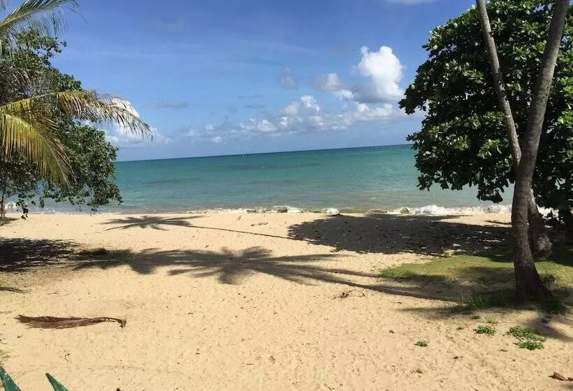 Aquatika Paraiso Tropical