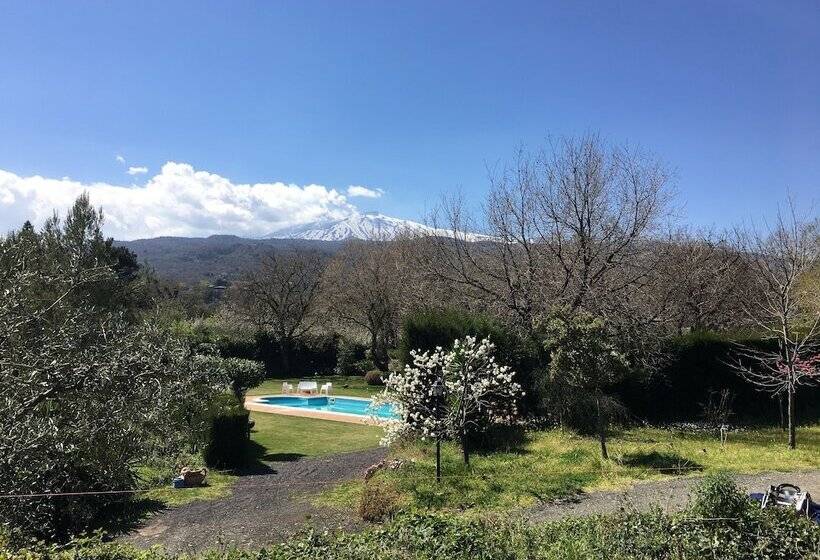 Bed And Breakfast Il Glicine