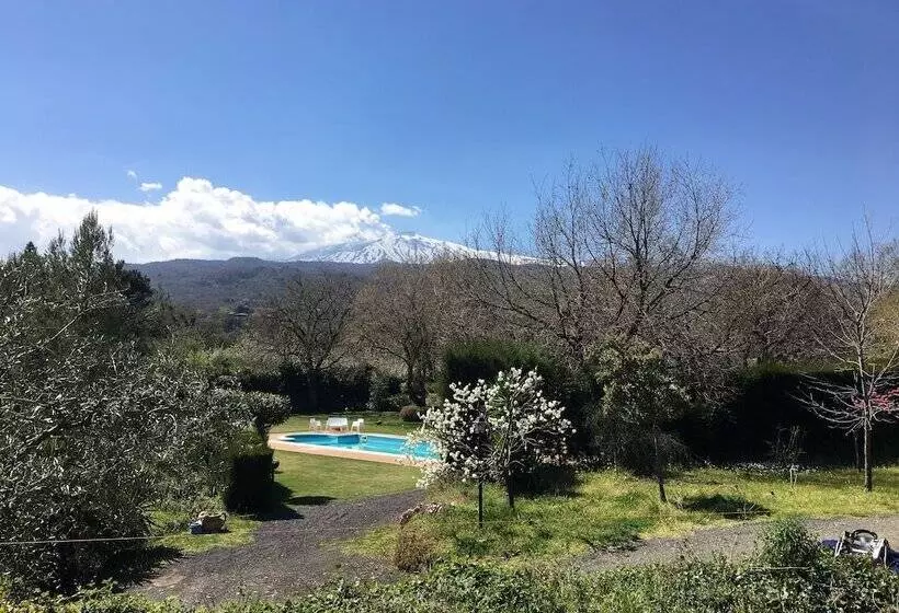 Bed And Breakfast Il Glicine