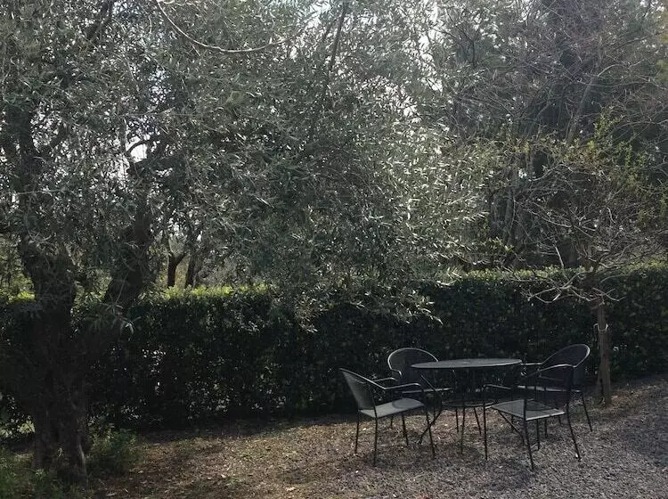 Bed And Breakfast Il Glicine