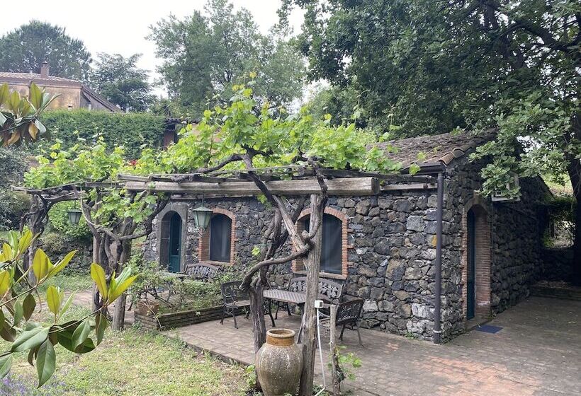 Bed And Breakfast Il Glicine