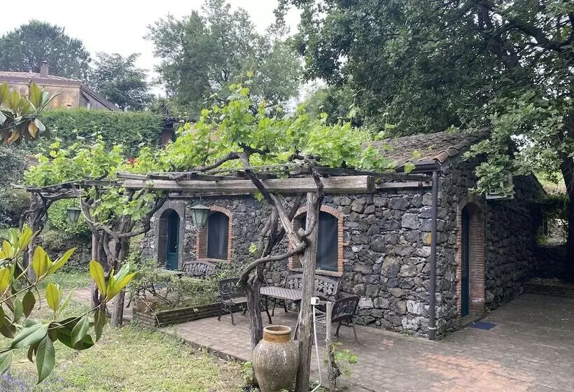 Bed And Breakfast Il Glicine