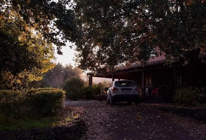 Bed And Breakfast Il Glicine