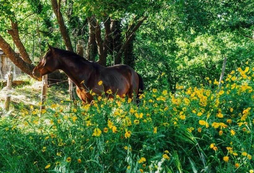 Bed And Breakfast Il Glicine