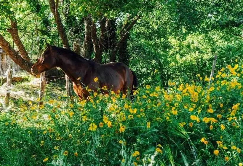 Bed And Breakfast Il Glicine