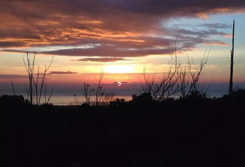 Bed And Breakfast Il Glicine